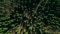 The image shows a forest from above