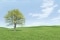 How a heat pump works